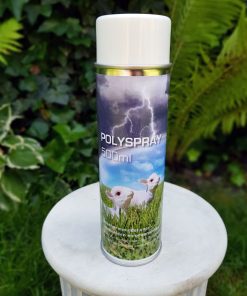 Beschermlak Spray voor Tuinbeelden en Sokkels