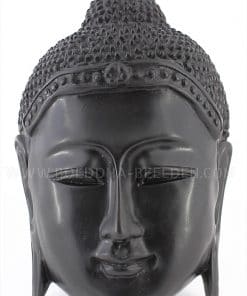 Indische Boeddha