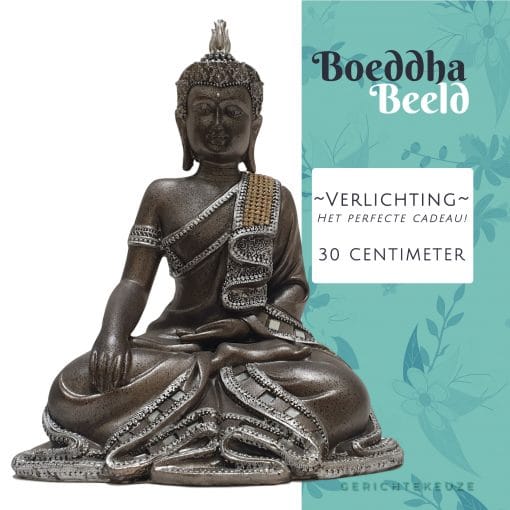 Bouddha-image-assis-illumination-PS715-(10)