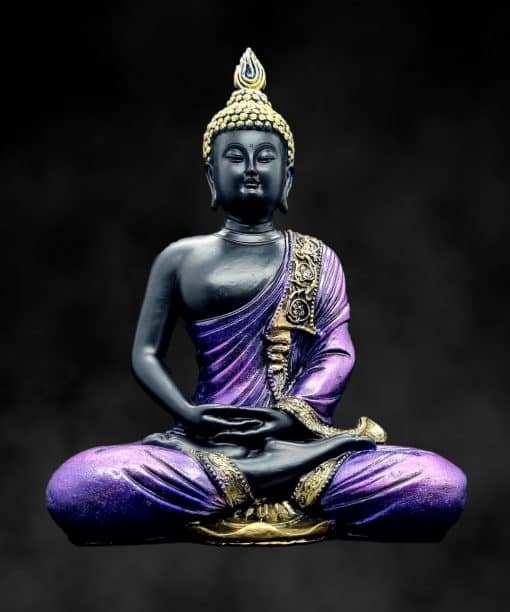 Sittande Thai Buddha staty Dhyana mudra lila svart 21.5cm #0