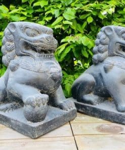 Chinese leeuwen als set 40cm steen foto