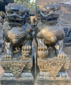 Chinese tempelleeuwen kopen - Foo dogs XXXL