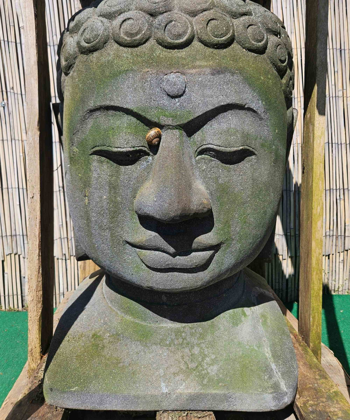 Testa del Buddha in pietra lavica - Cabeça - Buda - Balinese