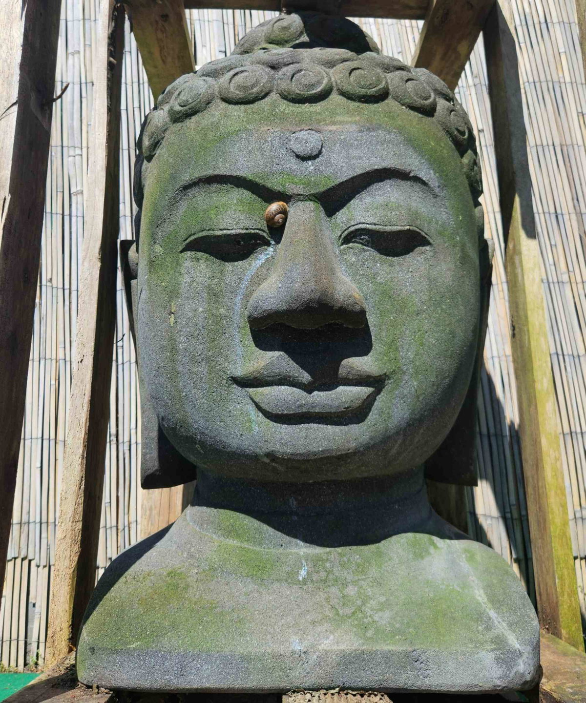 Vaso A Forma Di Testa Di Buddha, Magnesio Bianco 35x35x50h Cm 96237229